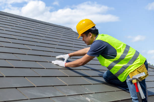 Roof Gutter Cleaning in Gibbstown, NJ