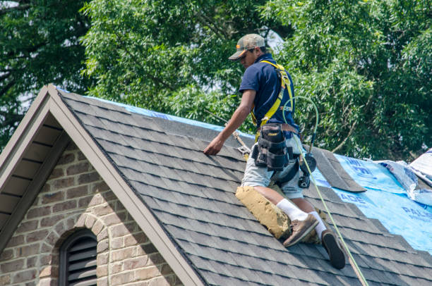 Best Storm Damage Roof Repair  in Gibbstown, NJ